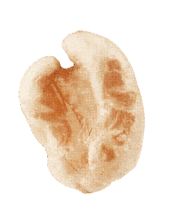Panel 0 Image